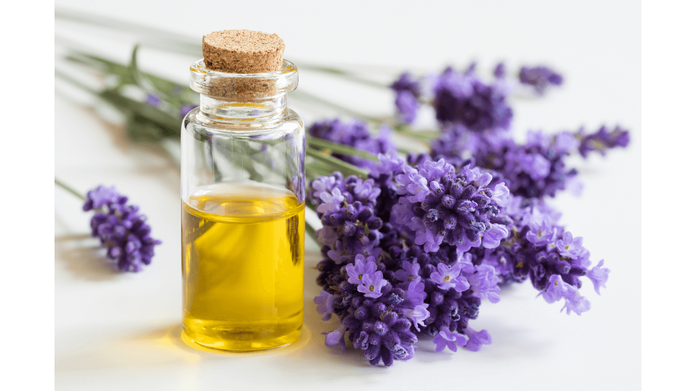 Aromatherapy Lavender