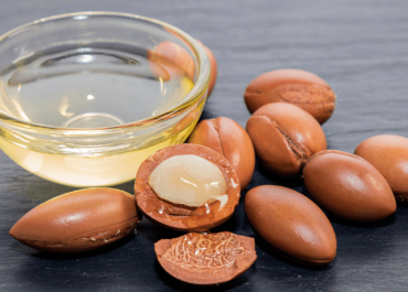 Argan oil được chiết xuất từ hạt cây Argan