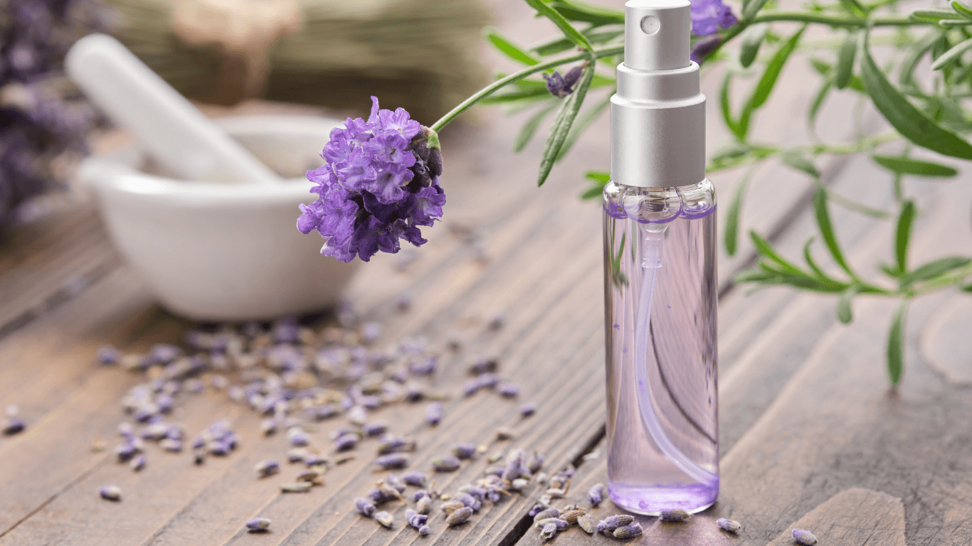 Xịt thơm miệng có mùi hương lavender