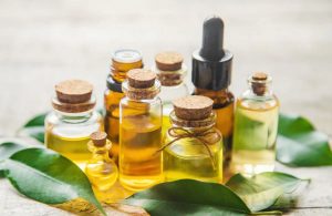 Gia công mỹ phẩm, chiết xuất Olive, công dụng dầu Olive trong mỹ phẩm