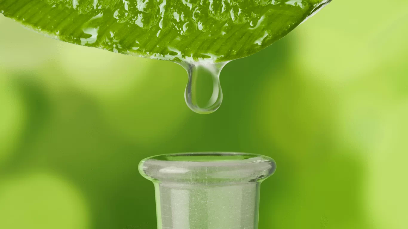 Xịt dưỡng tóc có chiết xuất từ lô hội