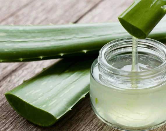 Chiết xuất nha đam: Giải pháp dưỡng ẩm & phục hồi da 2025