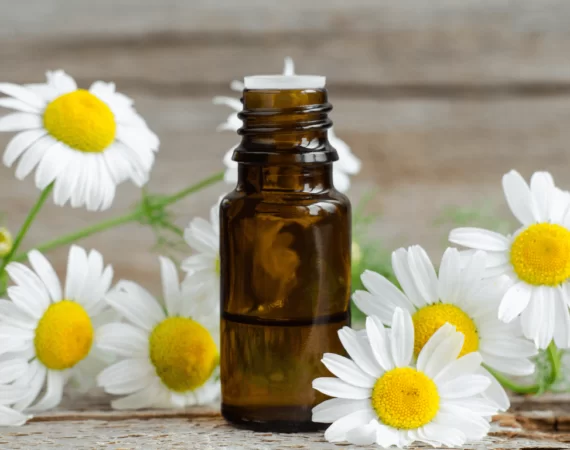 Chiết xuất Hoa Cúc La Mã: Ứng dụng đa năng trong mỹ phẩm
