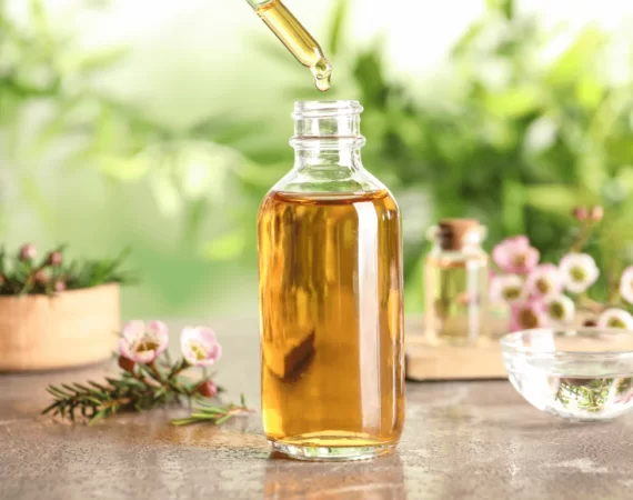 Tinh dầu tràm trà: Ứng dụng đột phá trong mỹ phẩm thiên nhiên
