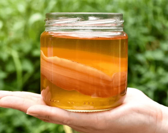 Chiết xuất Kombucha: Giải pháp làm đẹp tự nhiên
